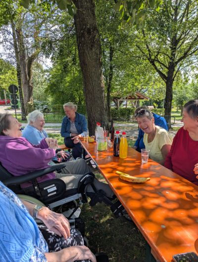 Picknick im Stadtpark – Ein gelungener Tag in der Natur – Bild 6